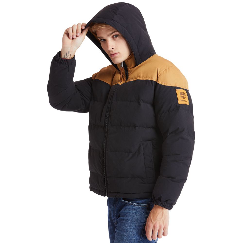 Chaquetas Timberland Argentina Hombre - Welch Mountain Warm Invierno - Marrones/Negras - SFLQDO-014